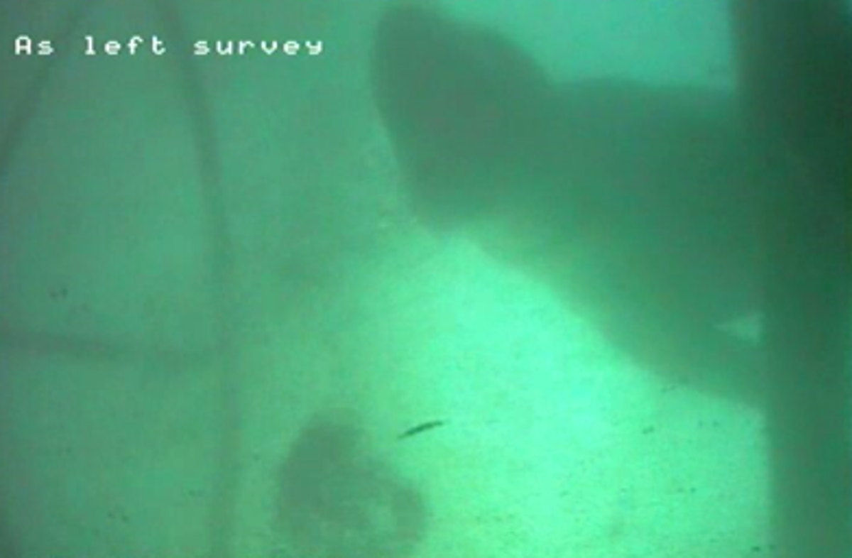 IMCA SF Near-miss: Leopard seal interference with diver 3 seal
