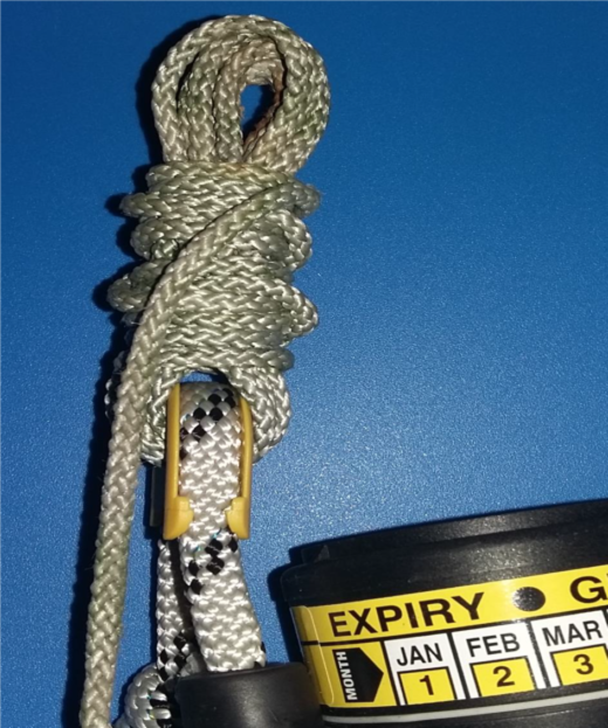 Sf105 520X623 Sf105 520X623