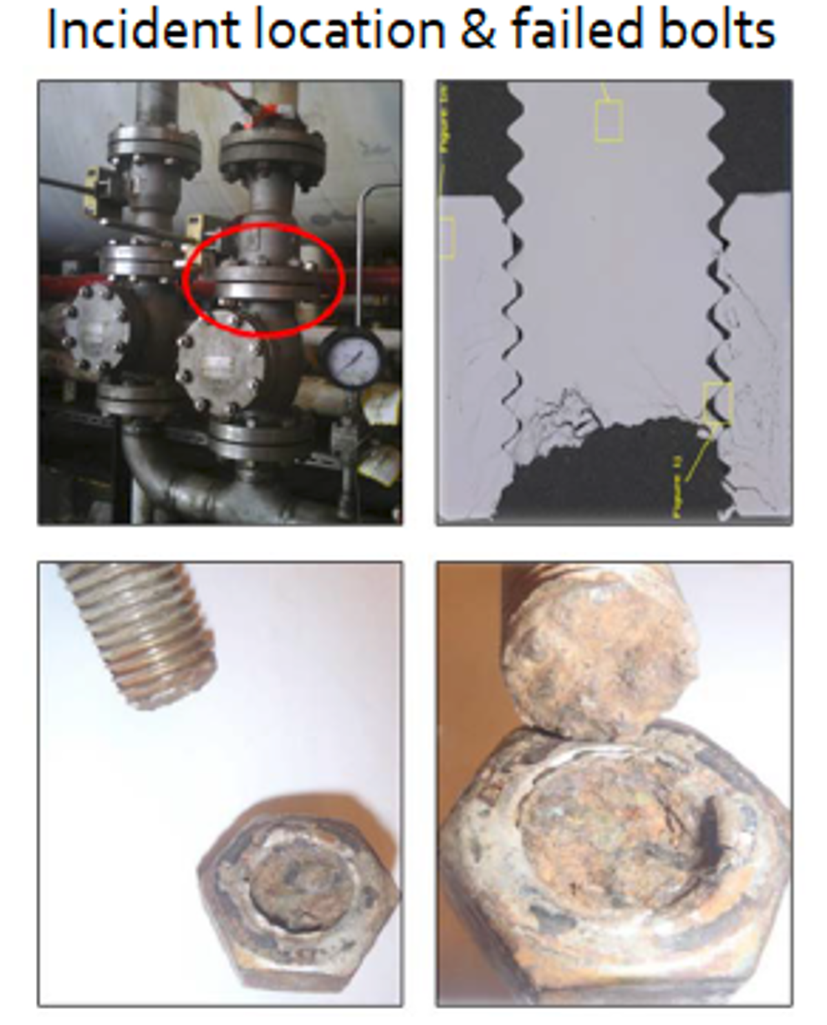 IMCA SF Corrosion cracking of strain-hardened type 304 stainless steel bolts Incident location and failed bolts