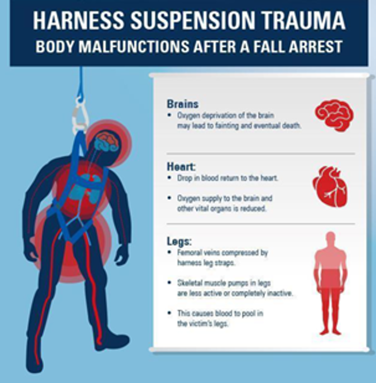 Harness suspension trauma - body malfunctioning after a fall arrest