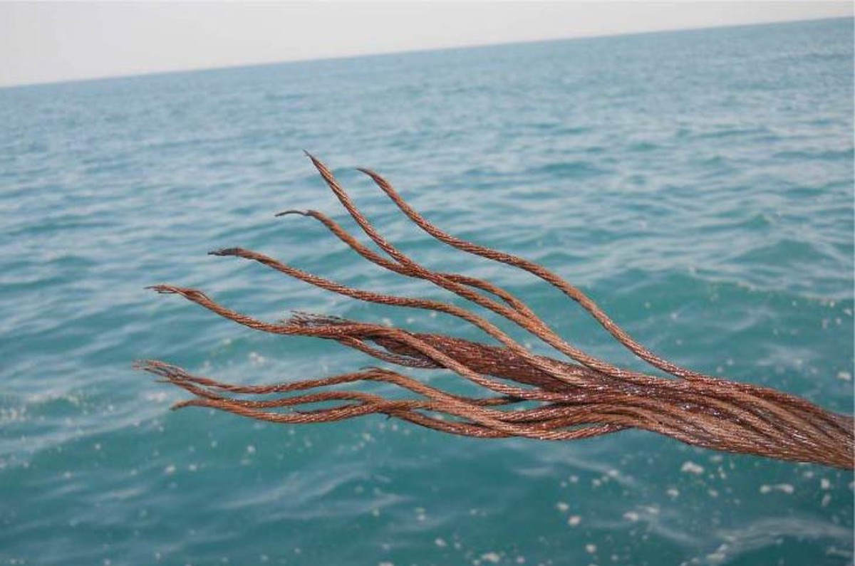 IMCA SF: Near-miss: Winch wire parted and crane block dropped Imcasf13 11 Image4 parted winch wire