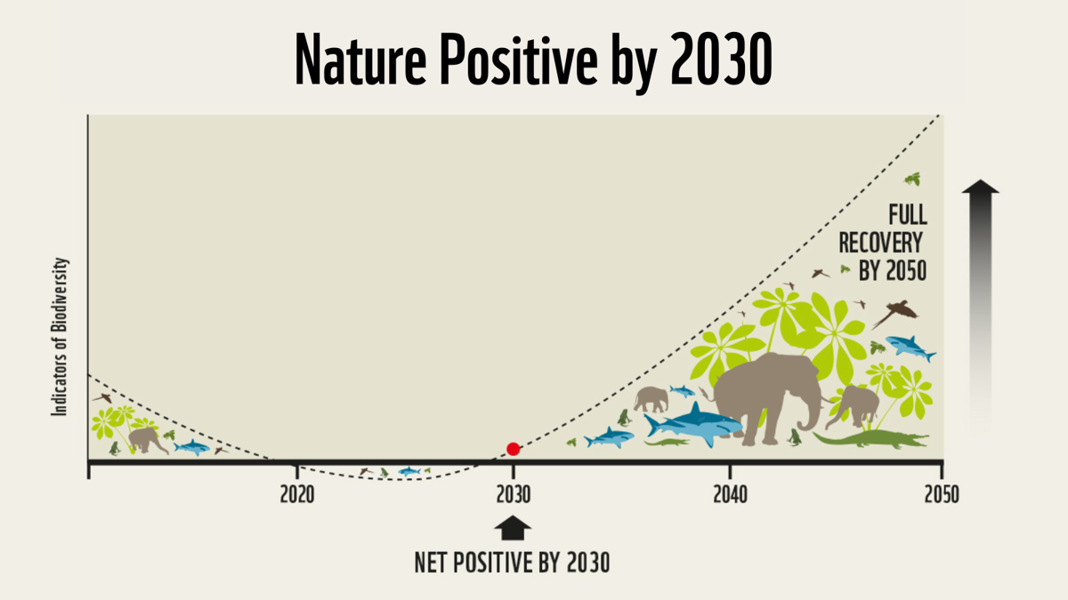 Nature Positive Graph