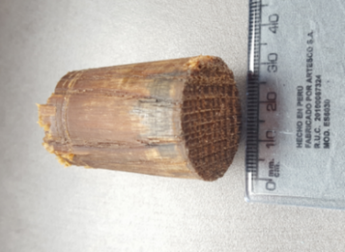 IMCA SF Incidents in small workboats used in the offshore renewables sector Wooden bung that caused blockage