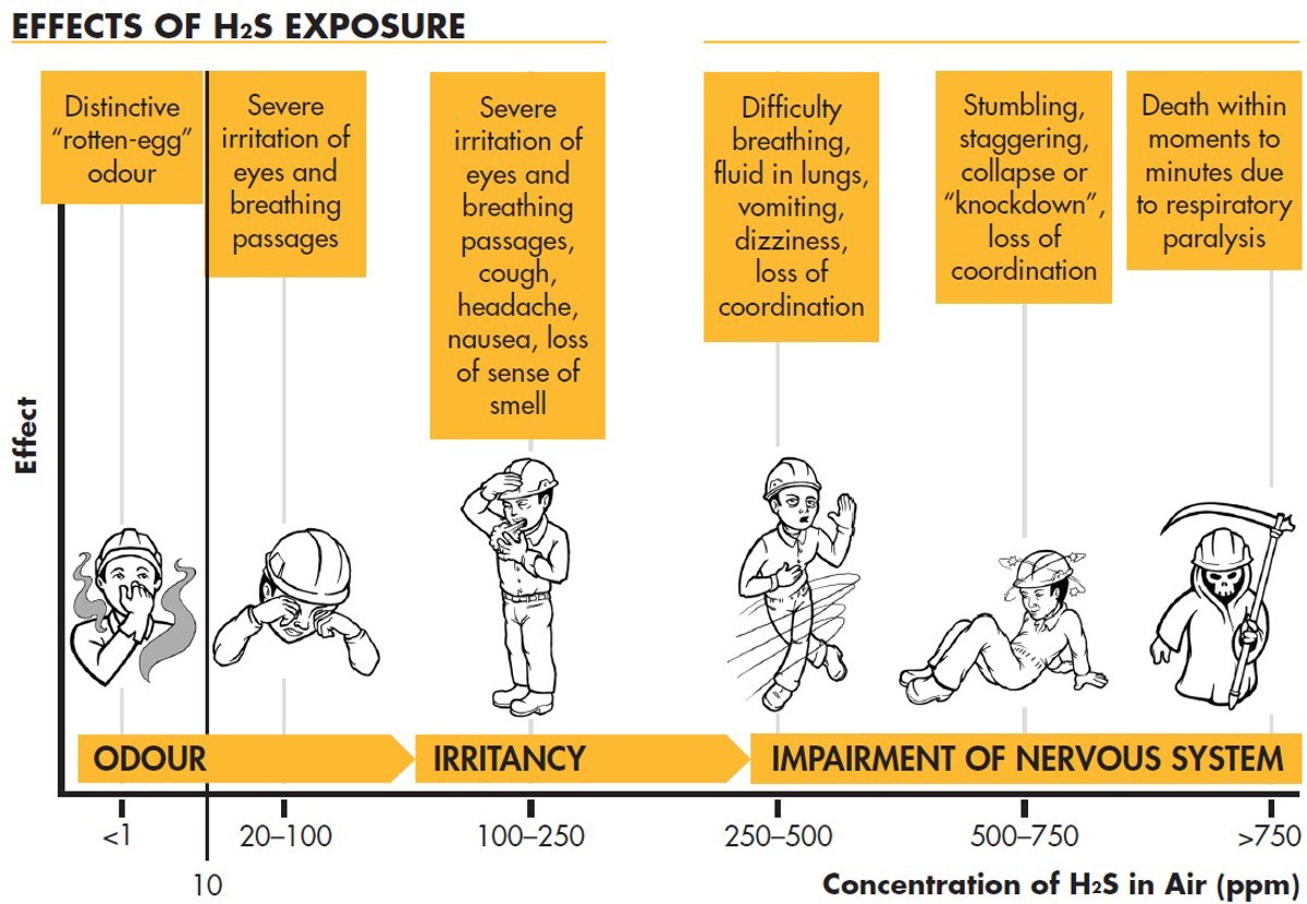 Effects of H2S exposure